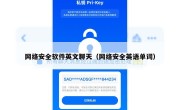 网络安全软件英文聊天（网络安全英语单词）