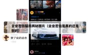 企业密信骗局揭秘图片（企业密信是真的还是假的）