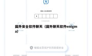国外安全软件聊天（国外聊天软件enigma）