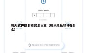 聊天软件隐私和安全设置（聊天隐私软件是什么）