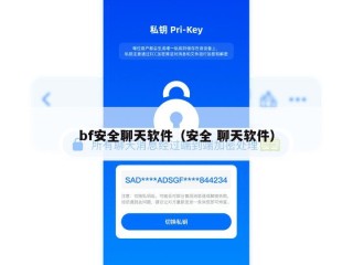 bf安全聊天软件（安全 聊天软件）