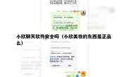 小欣聊天软件安全吗（小欣美妆的东西是正品么）