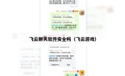 飞云聊天软件安全吗（飞云游戏）