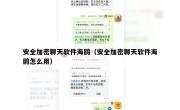 安全加密聊天软件海鸥（安全加密聊天软件海鸥怎么用）
